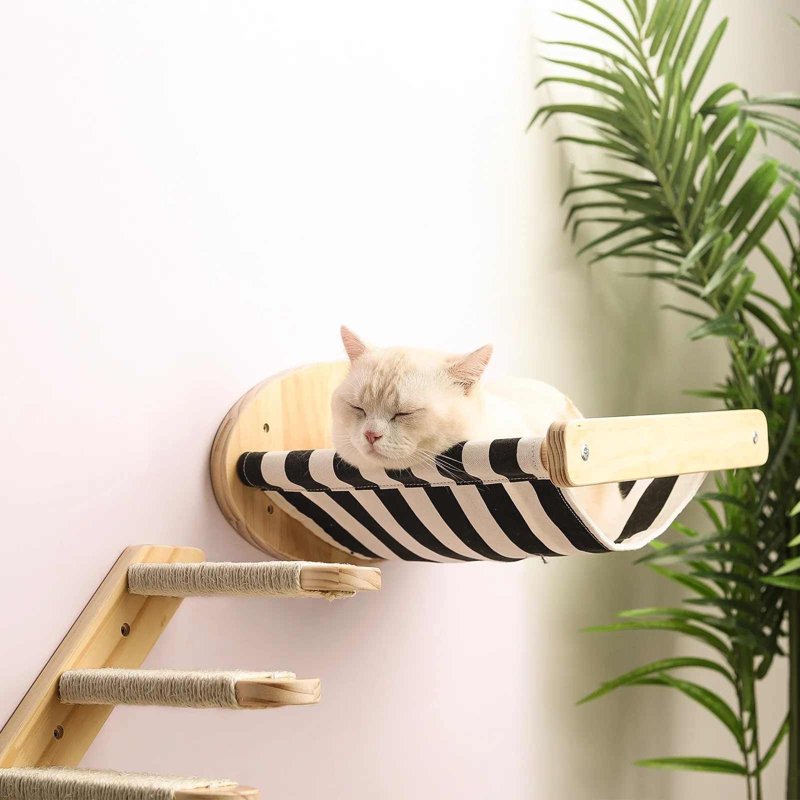 Cat Furniture Scratchers Wall gemonteerde kat hangmat bed huisdier meubels kitten muur plank set kat baars houten krabben klimpaal katten boom toren condo 230130