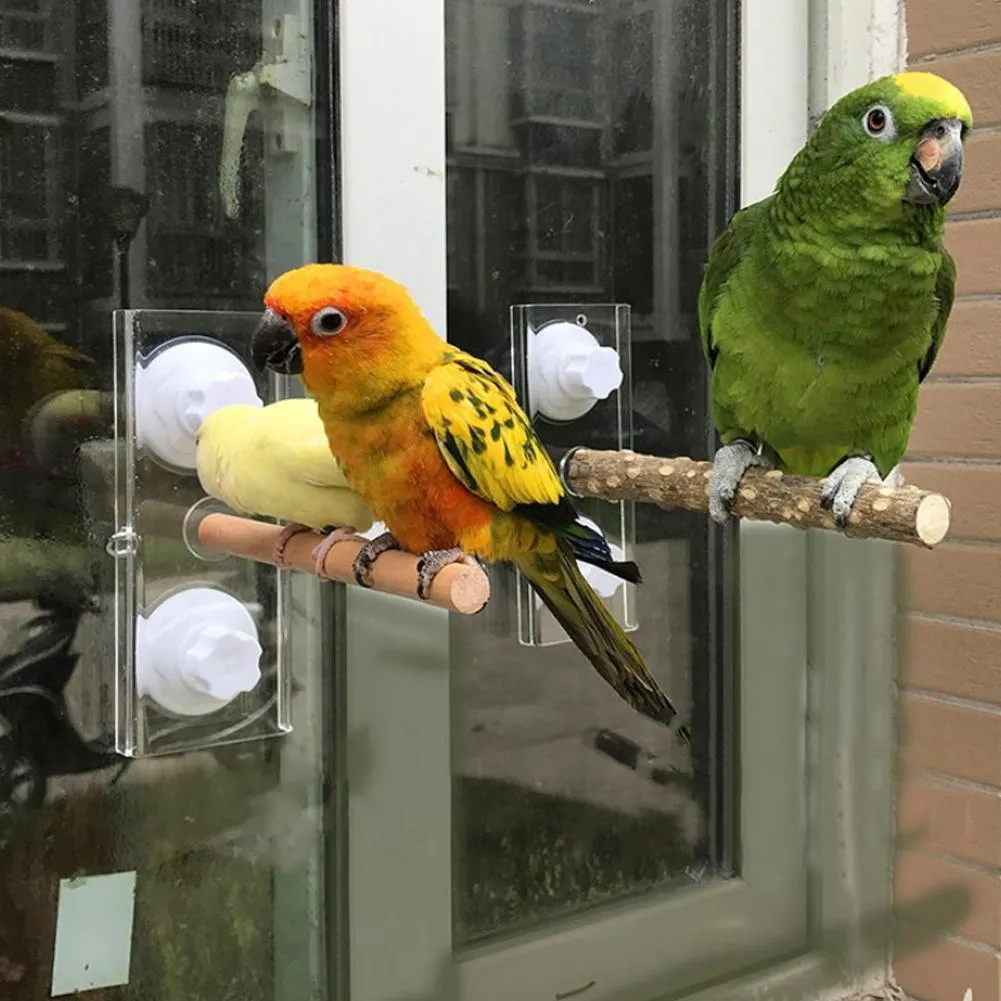 Andere vogelbenodigdheden papegaai houten staande stick rek zuigkop douche balk staaf baden speelgoed huisdier aanbod 230130