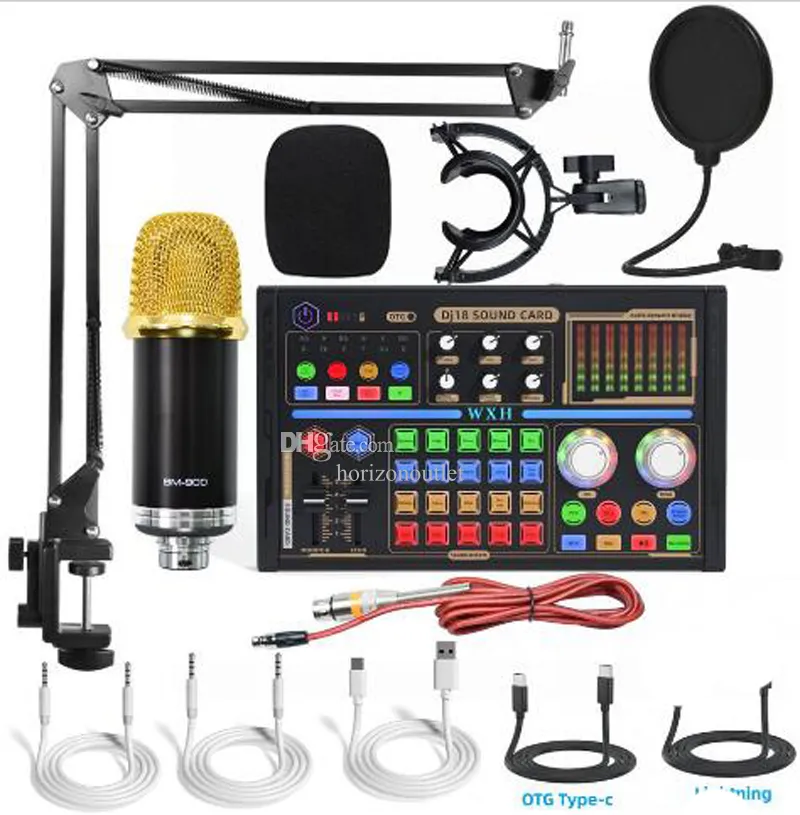 BM 900 DJ18 Professional Condenser Microphone & V9 Pro Sound Card