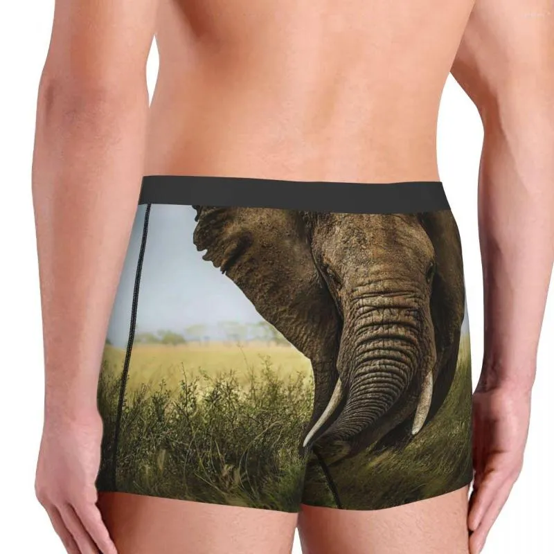 Elephant Print Mens Boxer Briefs Breathable Underpants For Comfort