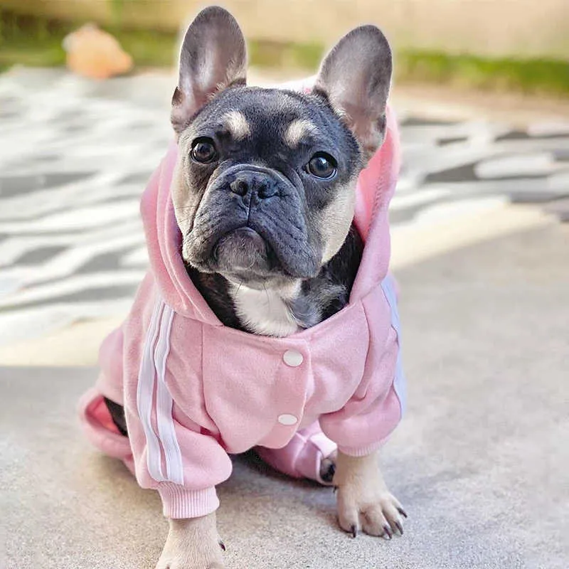 Pug puppy cheap outfits