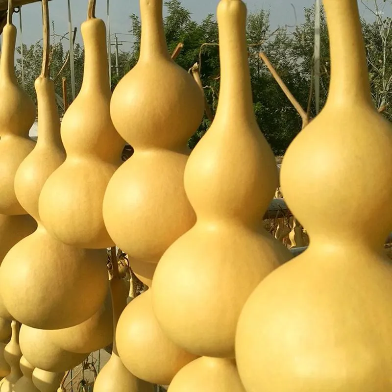 الزهور الزخرفية 10 سم 3pcs calabashcucucurbit المجفف الطبيعي لزخارف المنزل بالجملة