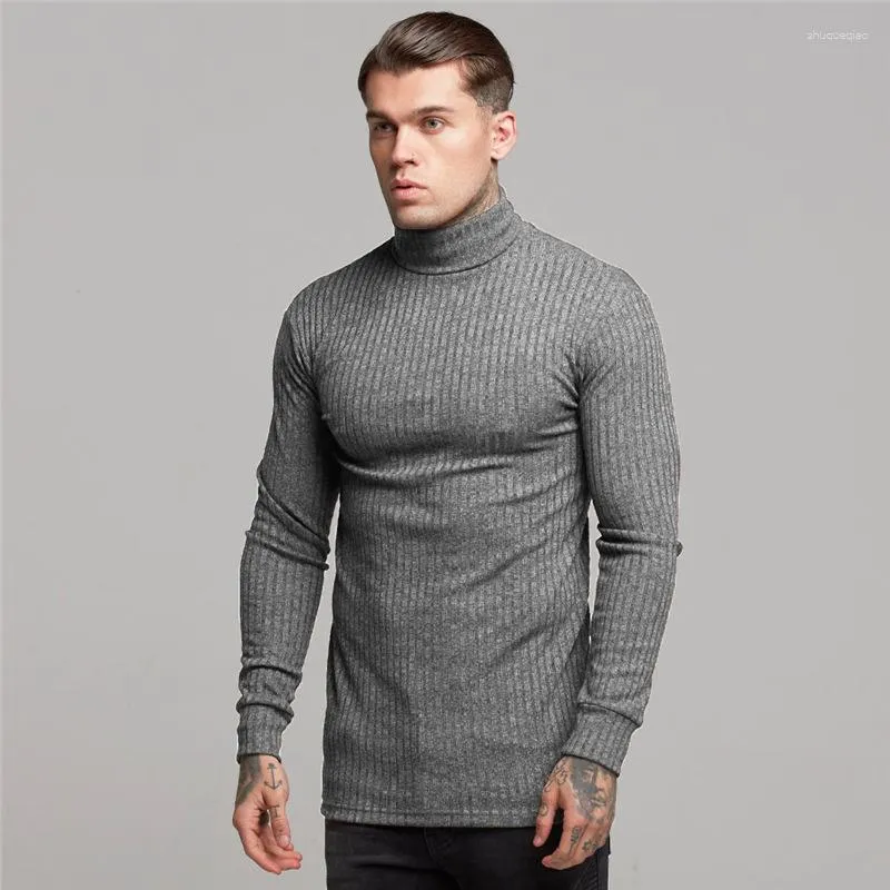 Männer Pullover Herbst Winter Mode Rollkragen Herren Dünne Casual Rollkragen Solide Pit Streifen Slim Fit Sport T-Shirt Männer Pullover