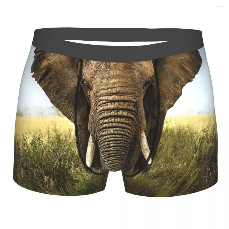 Elephant Print Mens Boxer Briefs Breathable Underpants For Comfort & Style  From Acadiany, $18.13