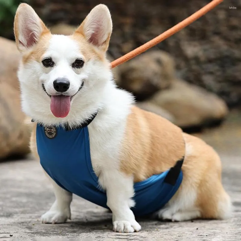 Vestuário para cães Suprimentos para animais de estimação Bolsa abdominal à prova d'água e à prova de sujeira Babador para ambientes externos pequeno médio