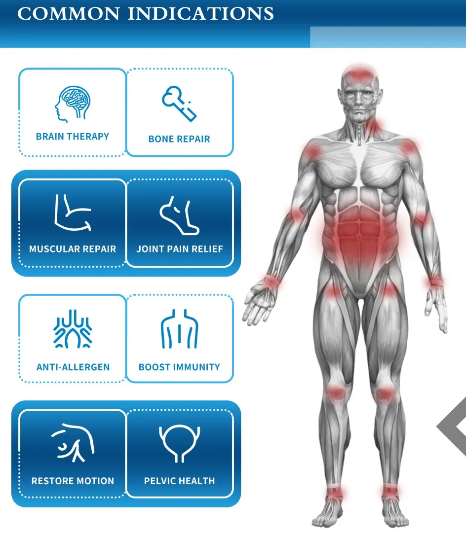 6000 Gauss Big Power Human Health Care Physiotherapy Machine PMST LOOP Magnetic Therapy For Pain Relief Bones Repair Physio Magneto PEMF Machine Human use pmst magnetic therapy machine for pain relief - Honkay pemf therapy machine for humans,pulse pemf therapy machine,pemf machine for people,pemf machine,pemf device