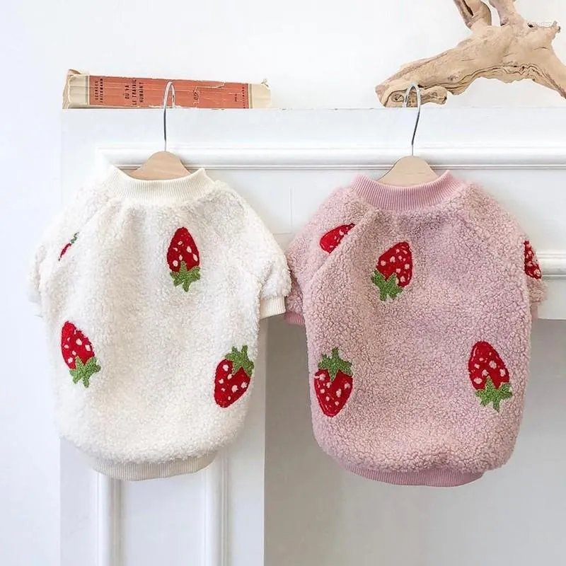 Hundkläder Strawberry Brodery Pet Dogs Cloth