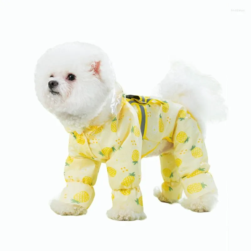 Chien vêtements fruits impression imperméable vêtements pour animaux de compagnie mignon quatre pieds chiens vêtements chat petit imperméable toutes saisons mode Yorkshire