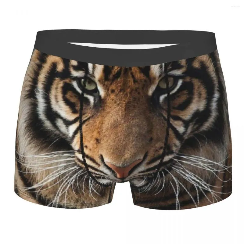 Сексуальные боксеры Cool Tiger Wallpaper Art Shorts Shorts Sworks Мужчины.