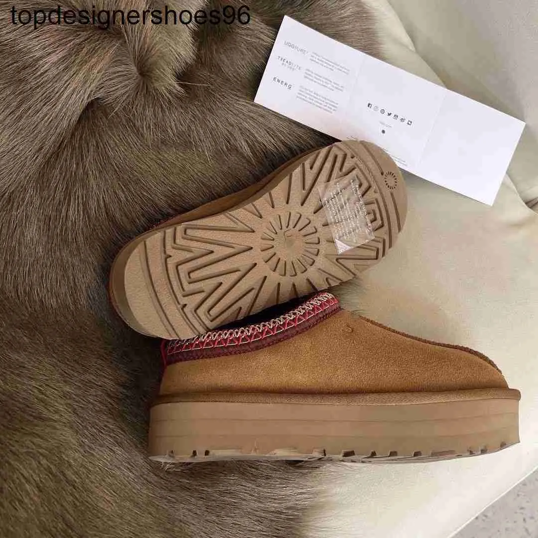 2023SS Tasman Slippers Chestnut Fur Slides Sheepesk Sheerling Tazz Tazz New Men Men Mini Platfor