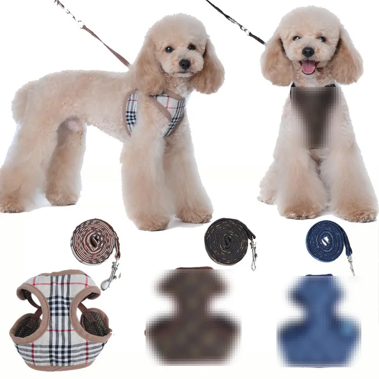 Ensemble de laisses de harnais pour chien de concepteur Classique Jacquard Lettrage Step-in Dog Harnais Soft Air Mesh Gilet pour animaux de compagnie pour petits chiens Chat Teacup Chiots Shih Tzu Caniche Corde de remorquage