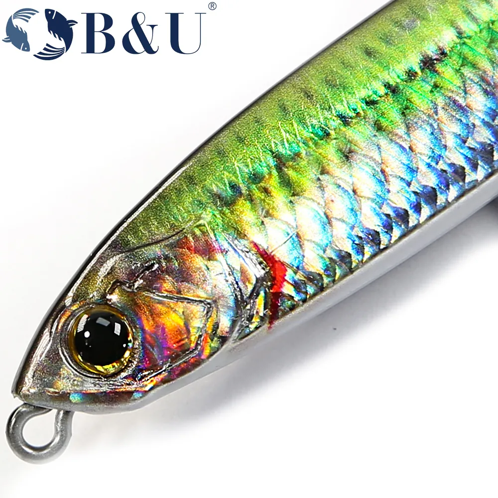 3D Printed Pencil Fishing Lure - 25g Sinking Bait for Bass, Saltwater  Fishing & Trolling - Realistic Action, Durable Tackle from Dhgate Baits &  Lures - price 15.8