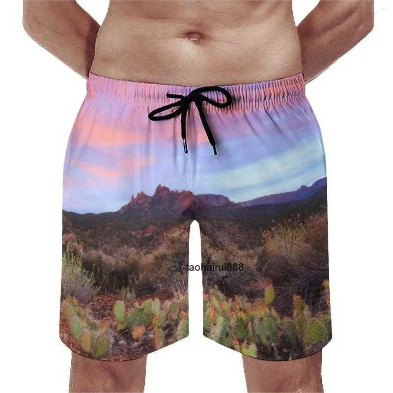 Męskie szorty pustynne Sunset Gym Summer Cactus Landscape Casual Board Short Pants Mężczyźni surfing Szybkie suszenie nadrukowane pędki pływackie