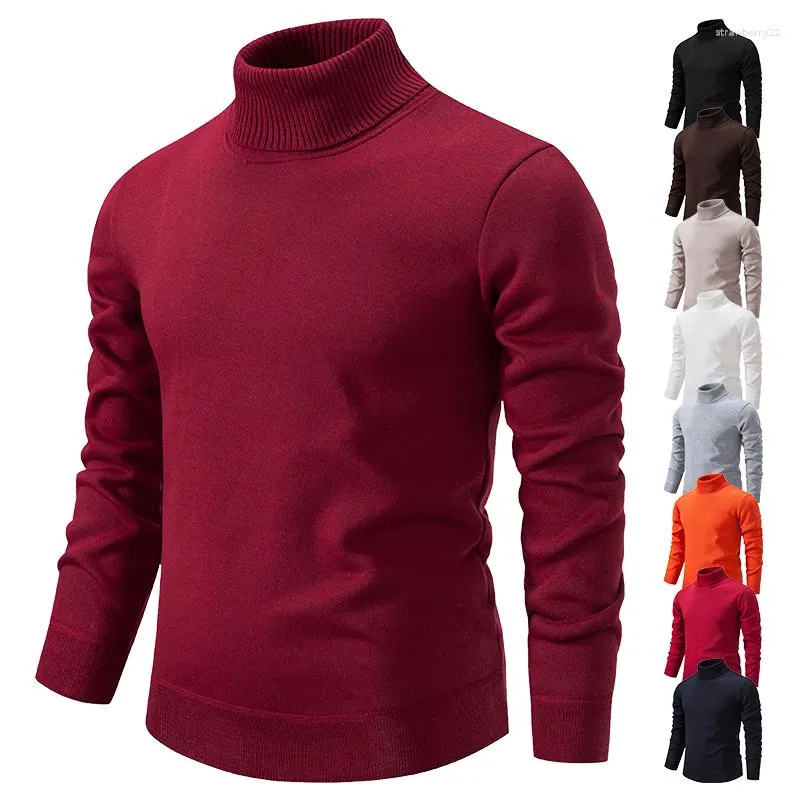 Heren Truien Winter Coltrui Heren Gebreide Pullovers Elegante Effen Y2k Luxe Fleece Warm Designer Slim Fit Koreaanse Koude Blouse