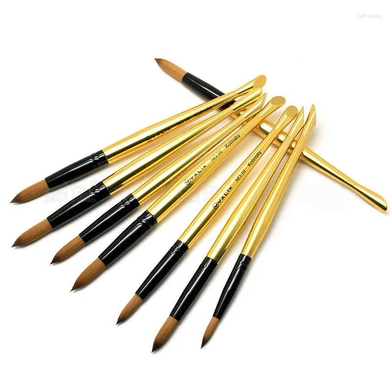 Nail Brushes Design Acrylic Brush Base Kolinsky Hair Art Manicure Drawing Painting Carving Pens Salon TIANMI