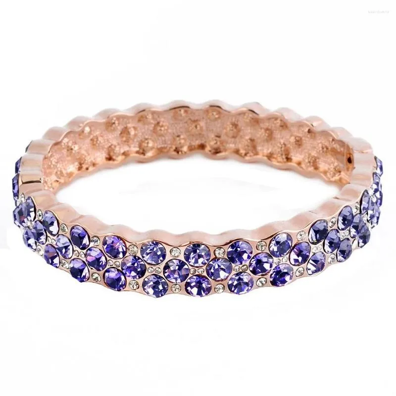 Pulseira BN-00233 Roxo Strass Para Mulheres Banhado a Ouro Rosa Jóias de Luxo Designer Presente de Dama de Honra de Alta Qualidade