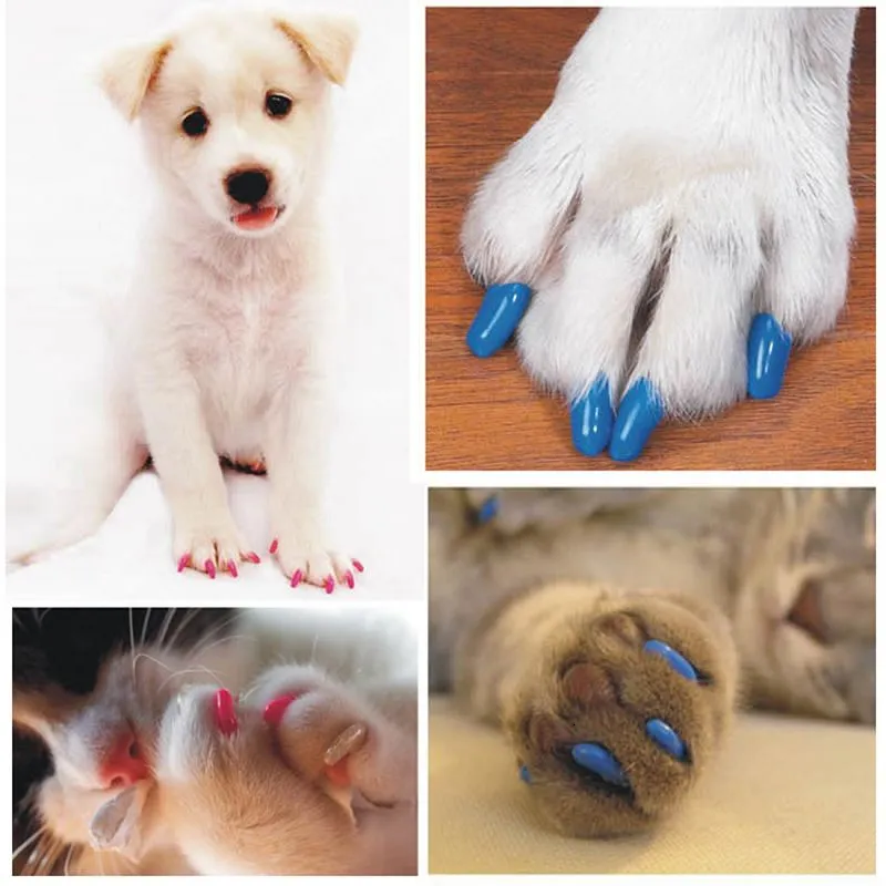 Andra kattförsörjningar Färgglada mjuka gummi 20 PCS Pack Dogs Katter Kattunge Paw Control Claws Care Nail Caps Cover för att skydda barn från Harm 230802