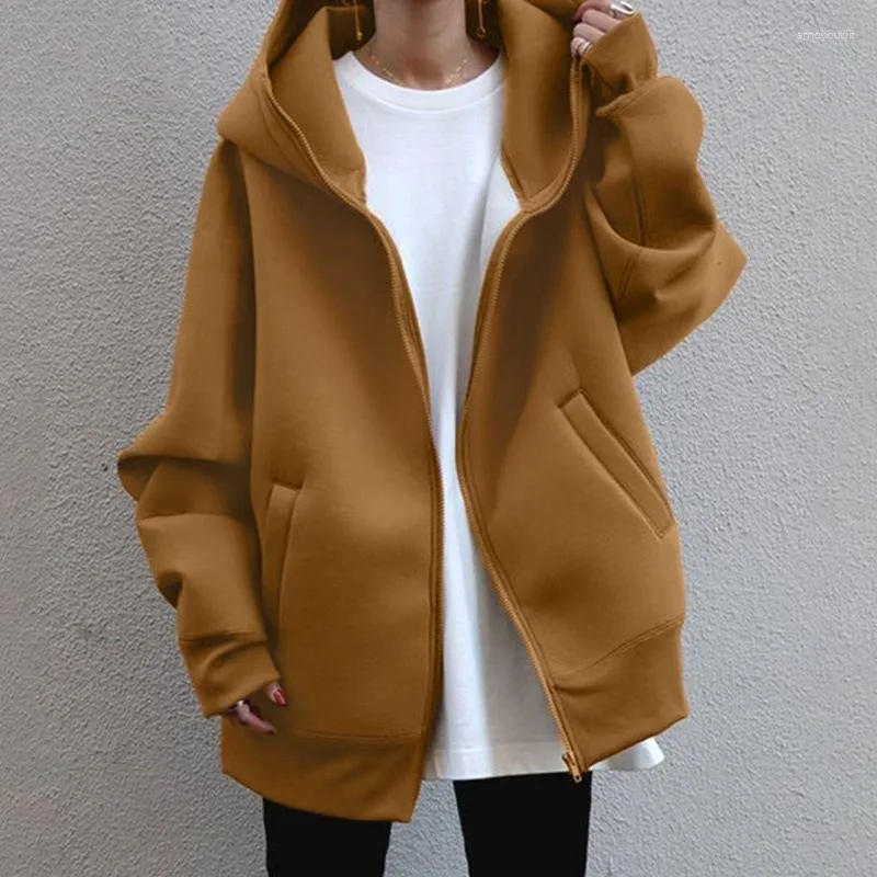 Women's Hoodies 2023 Autumn/Winter Personalized Street Sweater Zipper Hooded Long Plush Y2k Zip Up Hoodie Clothes For Women