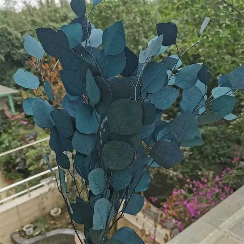 Fleur 110g / lot, le bouquet d'eucalyptus préservé naturel, la fleur séchée éternelle pour les accessoires de décoration de maison de mariage, affichage