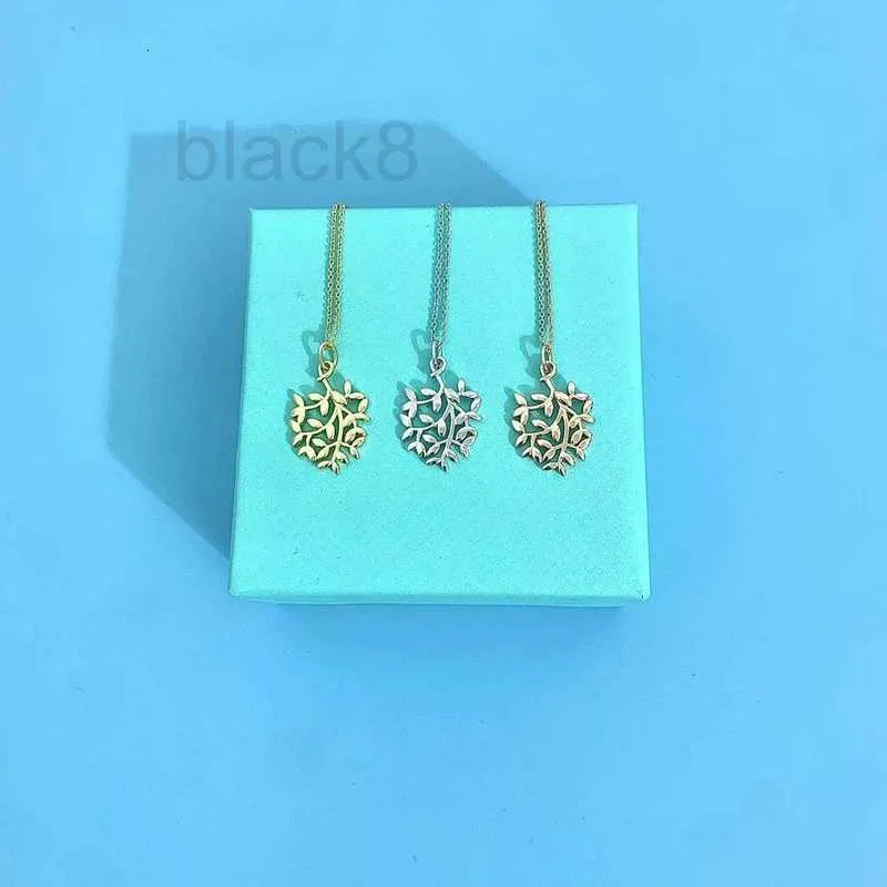 قلادة قلادة مصممة S925 Sterling Silver Olive Leaf Necklace بسيطة وأنيقة فاخرة بسيطة وباردة مشمشات المشمش