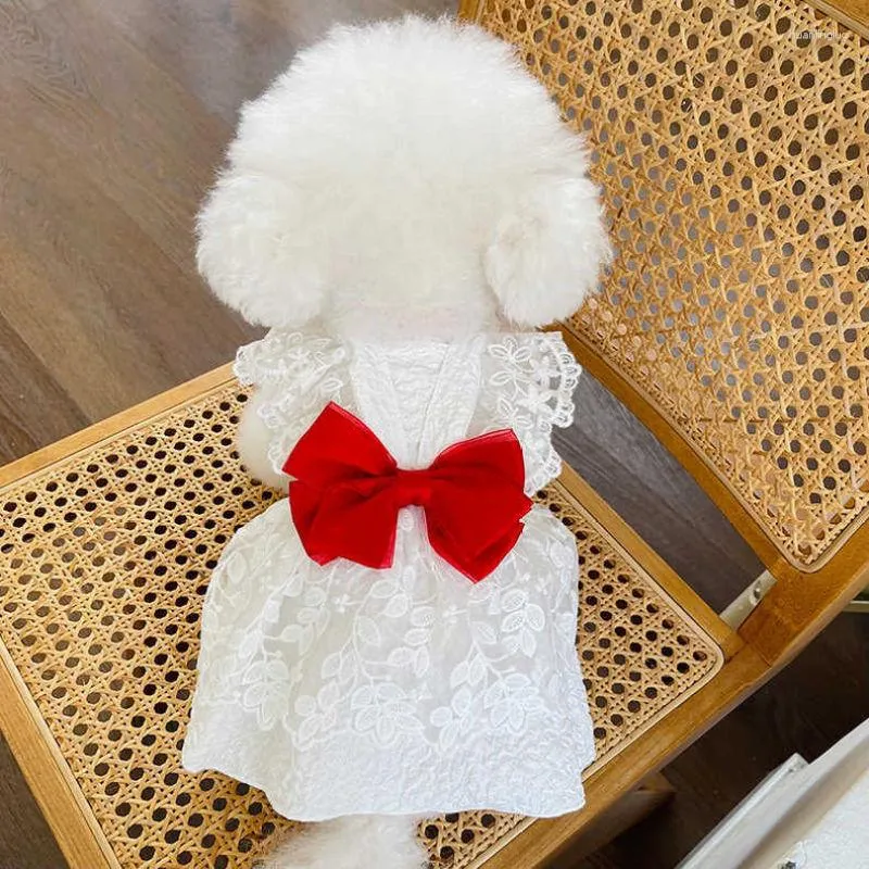 Chien vêtements mignon dentelle robe pour animaux de compagnie vêtements petits vêtements robes de mariée chat Yorkshire poméranien caniche Schnauzer Costume