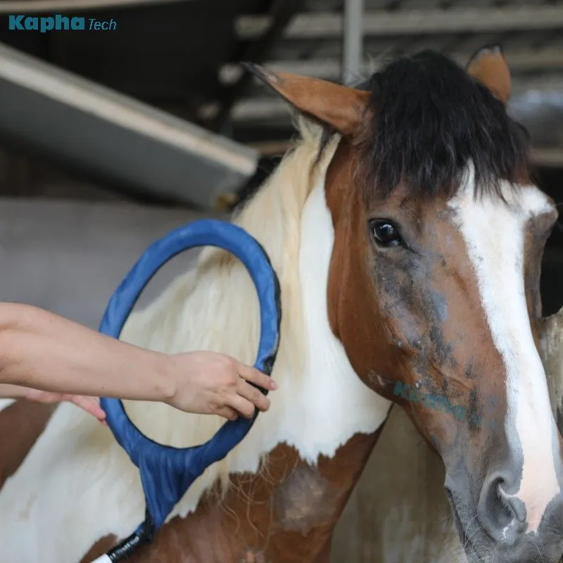 Magna Wave PEMF-lus voor pijnbehandelingsmachine voor paardenblessures en revalidatie