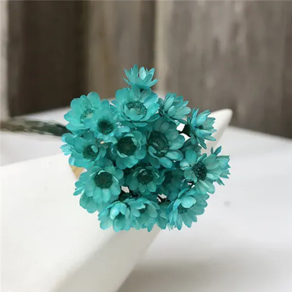 Dekoration 30st Dekoraitve Dried Flower Mini Daisy Star Flower Bouquet Natural Plants Small Floral for Wedding DIY Home