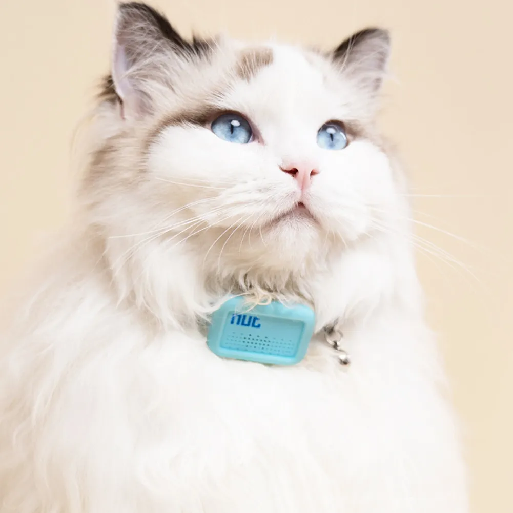 Localisateur Bluetooth Pour Chien Et Chat - Tracker GPS étanche, Collier Réglable, Pas D'abonnement, Compatible IOS/Android