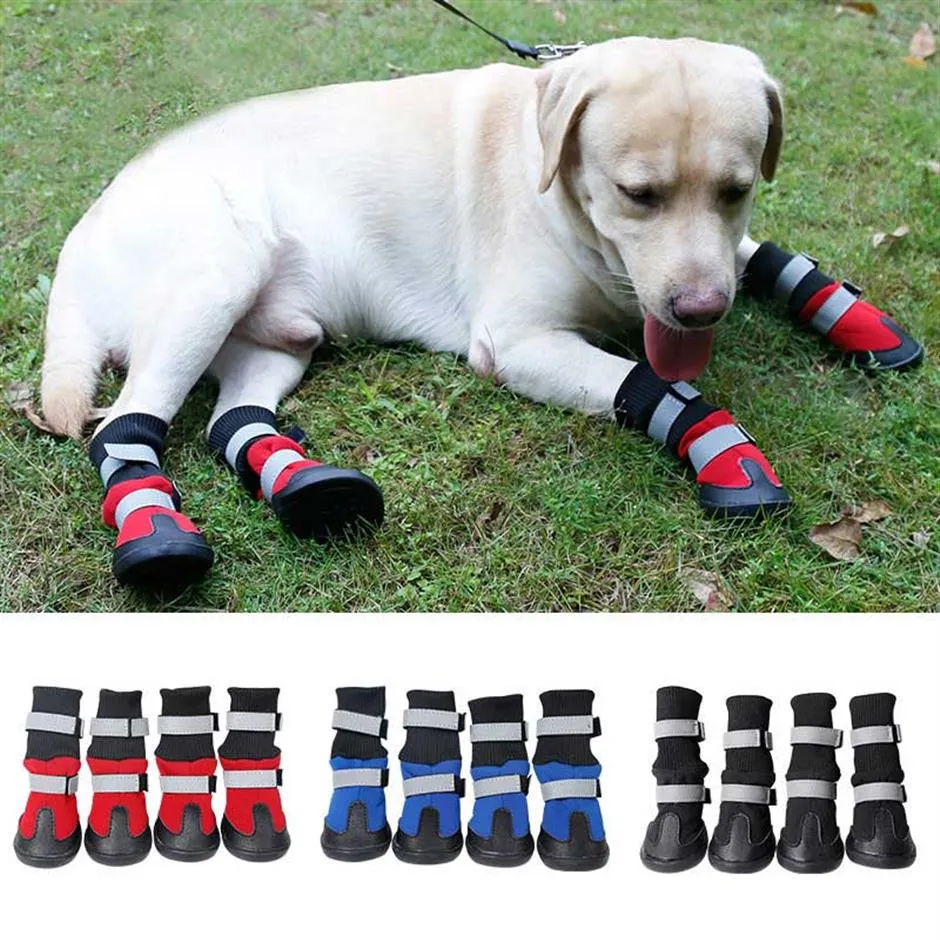 Dog shoes price cheap