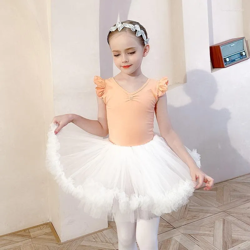 Stage Wear Girl Ballet Leotards Short Ruffle Sleeve Skirted Tutu Dress Toddler Outfits Classic Gymnastic Ballerina Fluffy 4 Layer Summer
