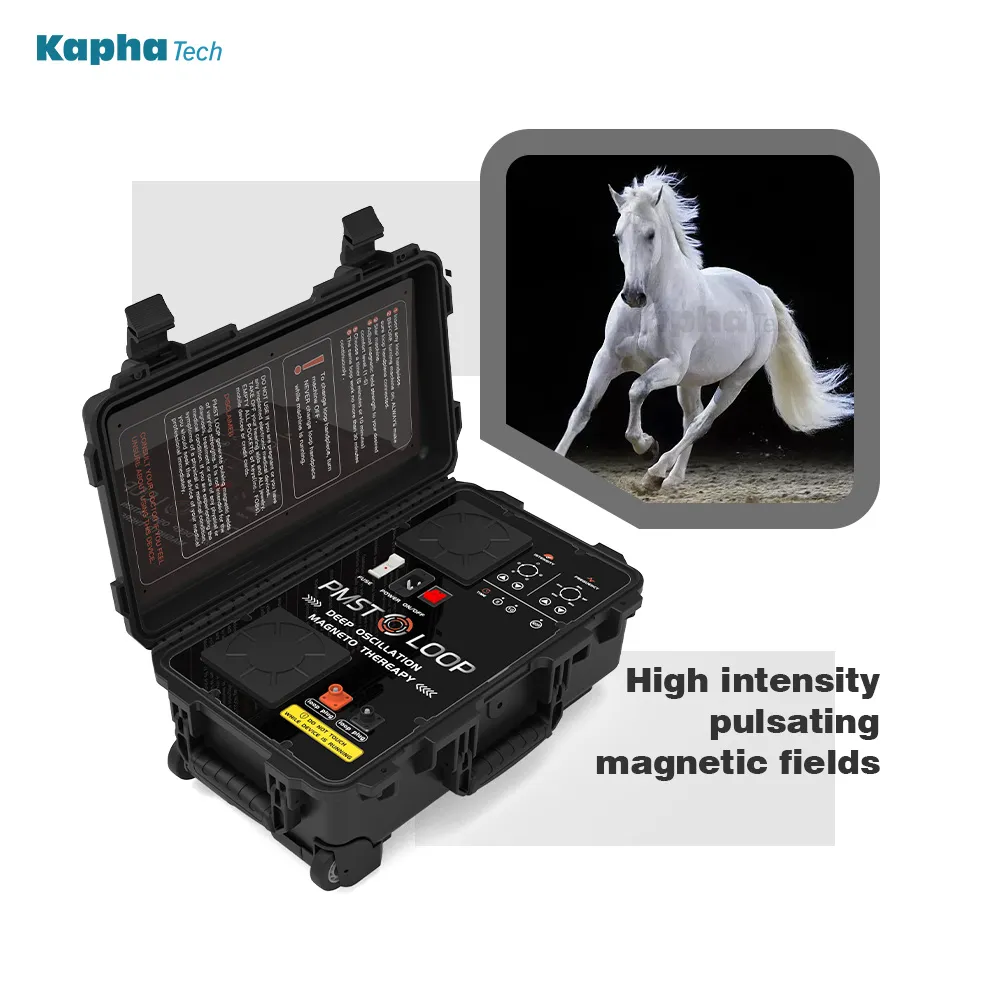 PEMF Loop Veterinary Laser Therapy Machine For Horse