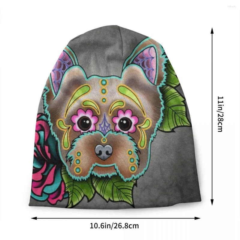 Yorkie skull 2025