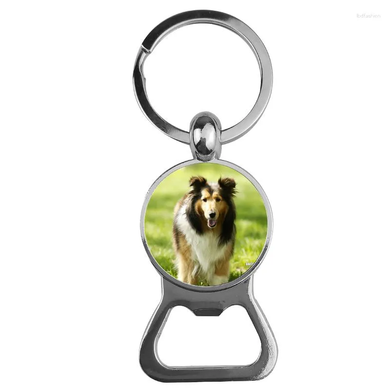 Клавицы Suteyi Pet Dog Bottle Opener Держатель цепочка Стекло купол закупленное пудель картинка для мужчин Женщины животные украшения