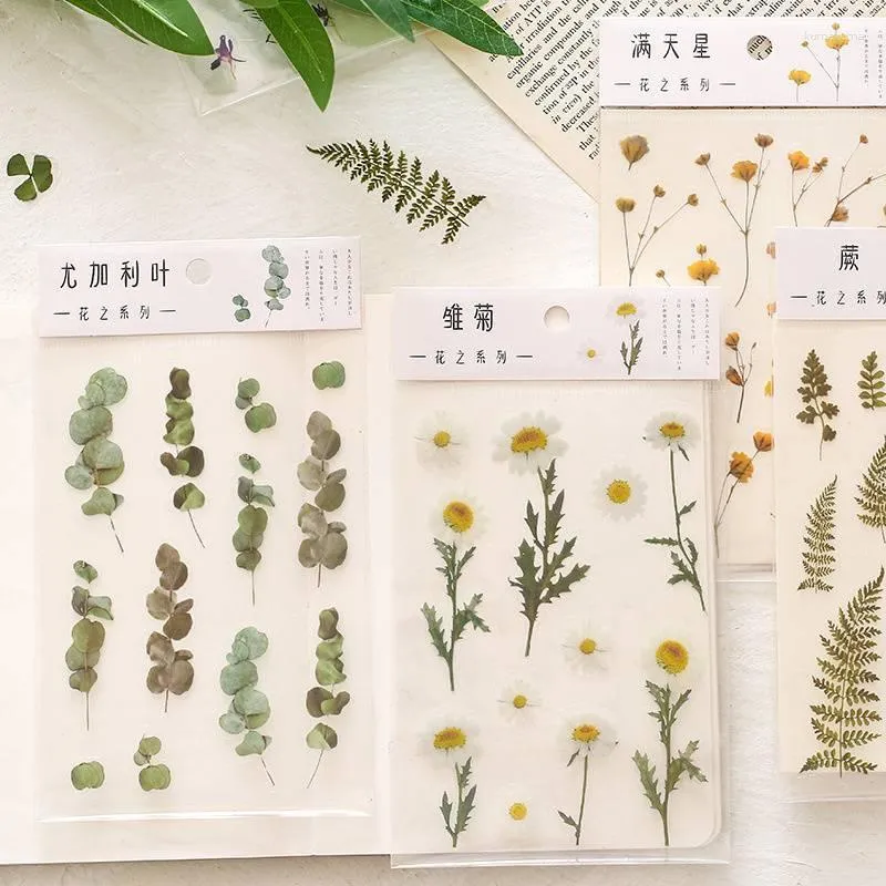 Opakowanie prezentów 2PCS Płaskie naklejki naklejka Fresh Natural Flower Series DIY Materiał roślinny Pet Journal Paper Dekoracja