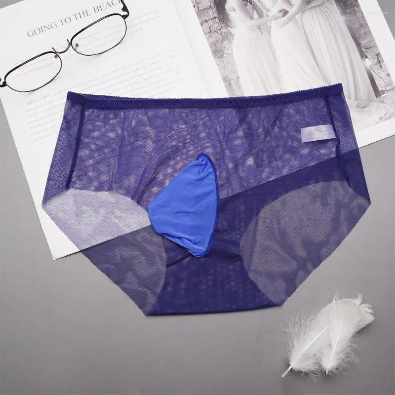 Slip hommes culotte en Tulle Sexy Transparent sans couture Shorts maille transparente sous-vêtement respirant string mince confortable slips