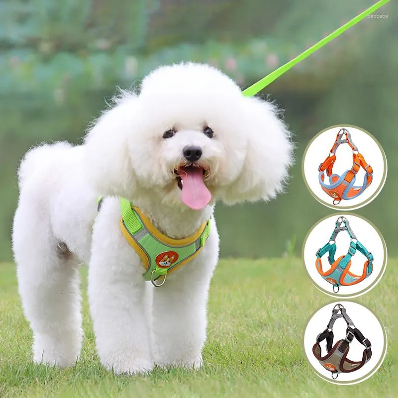 Hundhalsar Pet Outdoor Training Leash Set Reflektera lätt justerbar valpsele Running Vest Accesorios Para Perros