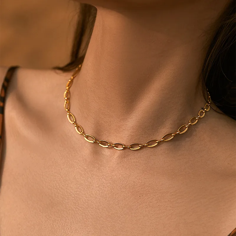Plain chain 2024