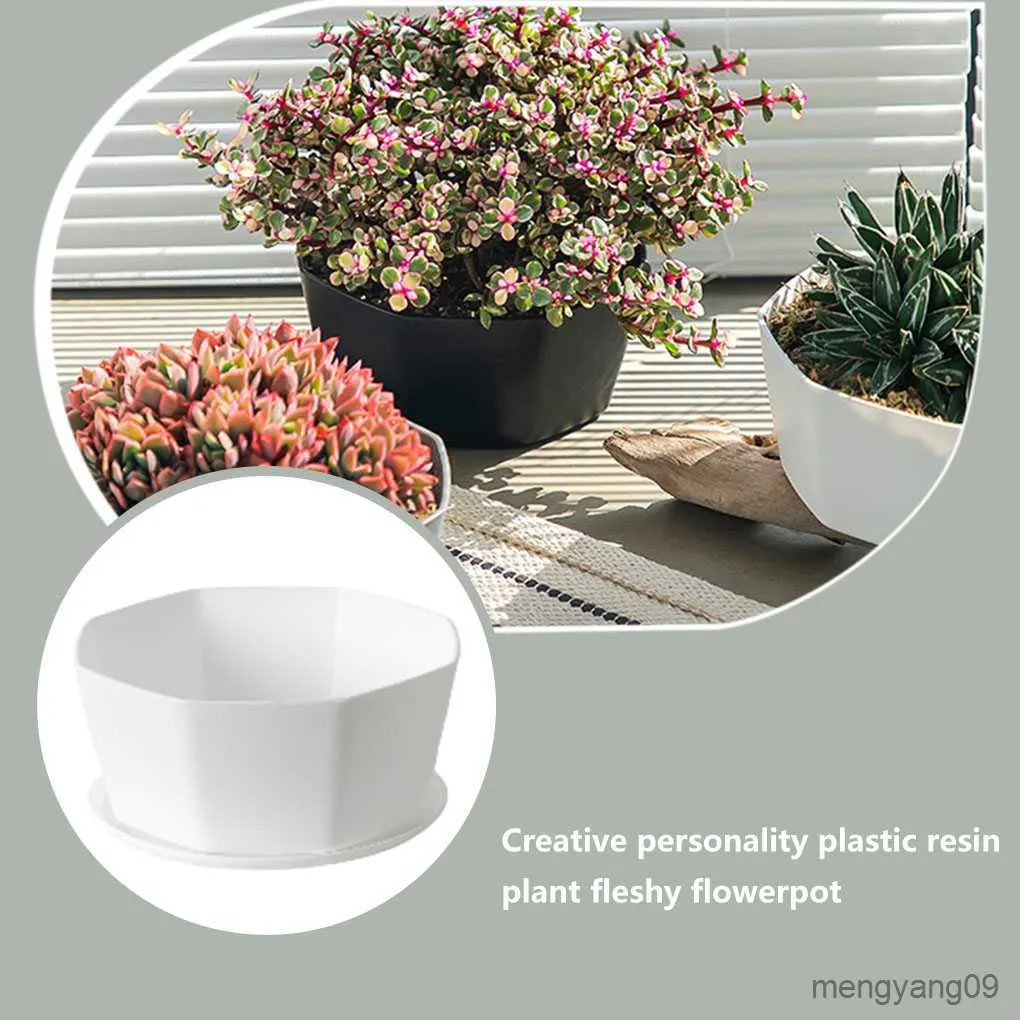 Planters Pots Pot Bunga Perkebunan Tanaman Sukulen Membuka Nampan Bawah Pot Bunga Rumah Dalam Ruangan Bunga Tahan Lama Dengan Ventilasi Sejuk R230807