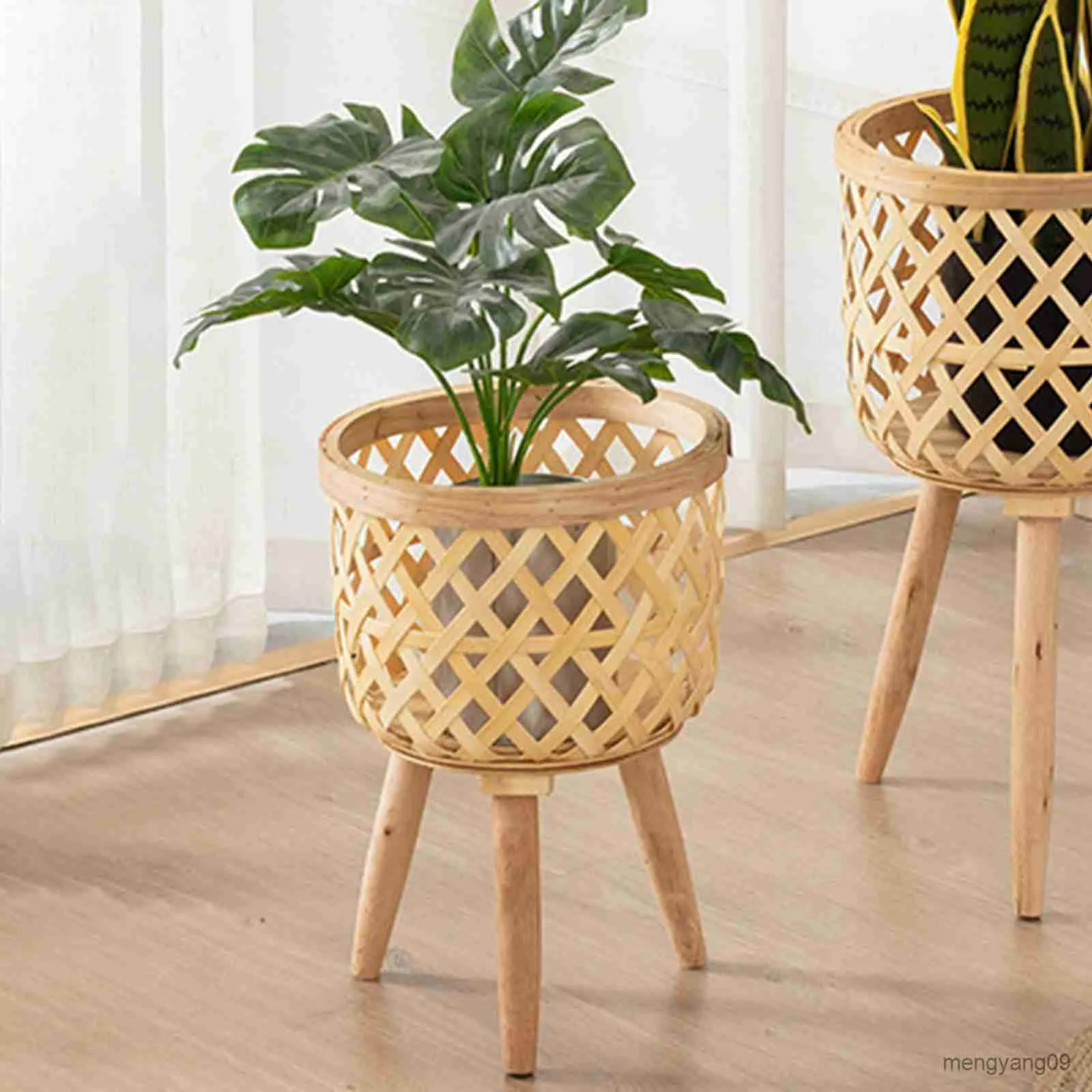buy variegated monstera deliciosa Monstera deliciosa 'Variegata' 6"