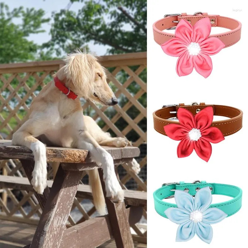 Colliers pour chiens PU collier pour animaux de compagnie avec fleurs strass luxueux chat pour petits chiens collier réglable chiot accessoires fournitures