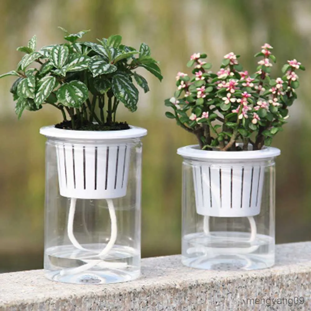 Plantenbakken Potten Pot Bunga Hidroponik Dapat Diairi dengan Otomatis Menyerap Air Transparan Pot Tanaman Perlengkapan Kebun Pot Bunga R230807