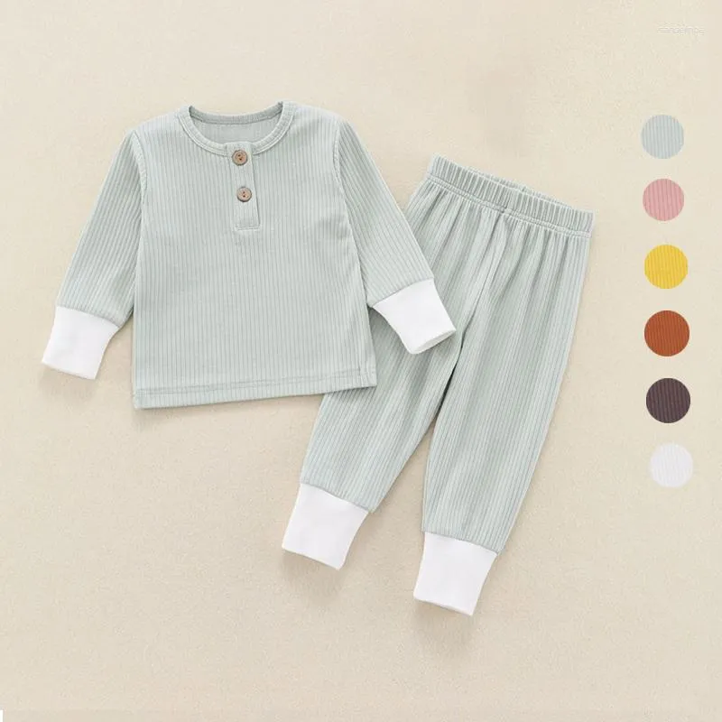 Ensembles de vêtements bébé vêtements tricotés coton fille costumes unisexe blanc vert enfant en bas âge garçon pull ensemble né coréen automne hiver enfants tenues