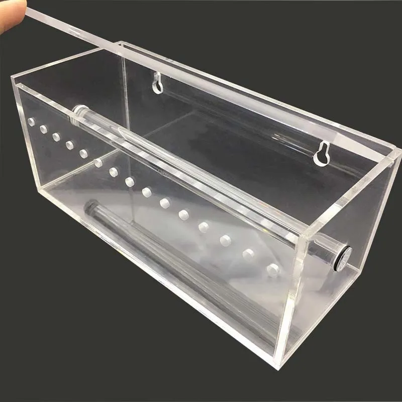 High Quality Dental Orthodontic Power Chain Dispenser With Placing Box And  Acrylic Rubber Band Organizer Dental Hygiene Slideshare From Bei07, $21.66
