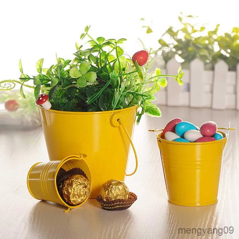 Planters Pots Pot Bunga Logam Barel Tanaman Sukulen Pot Bunga Tanaman Sukulen Ember Besi Mini Pot Tanam Ukuran Kecil Gantungan Bunga R230807