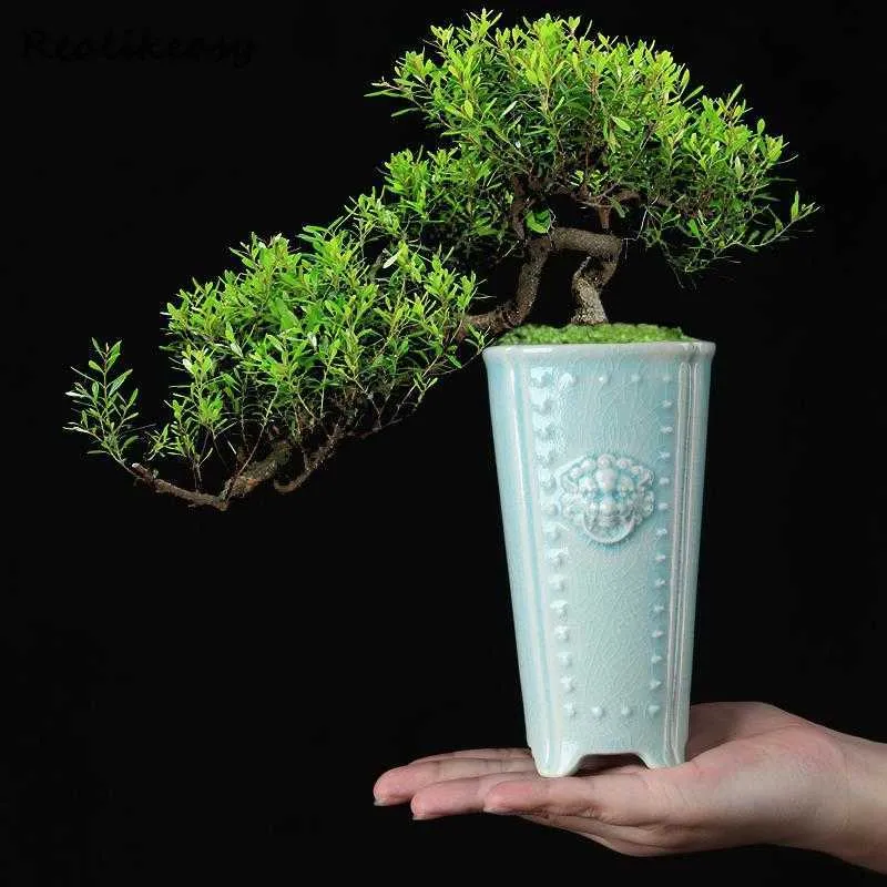 Sadzi doniczka bunga tangan retak tinggi garnek bunga rumah tangga anggger bonsai garnk deKoratif Pot Bunga