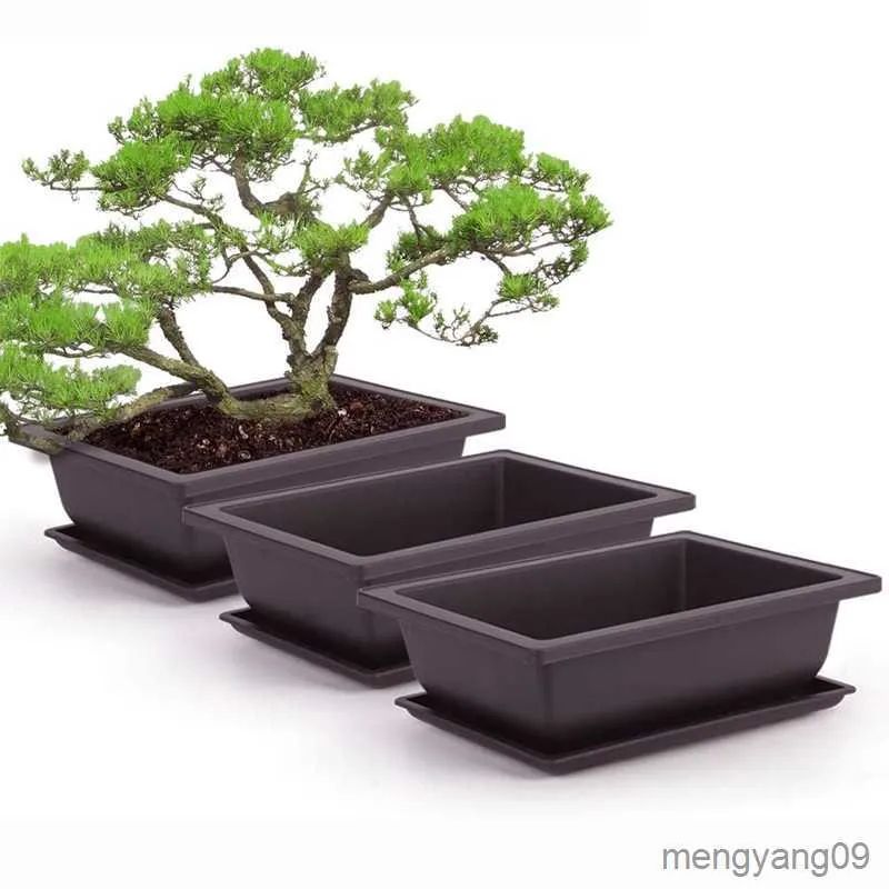 Vasos para plantadores Pote Bonsai de plástico com nampan Pote de planta para bunga Pote de tanaman de plástico com sukulen com nampan R230807