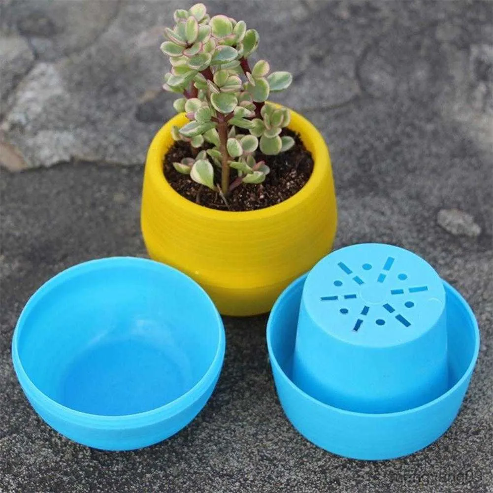 Plantadores Vasos Penanam Pot Bunga Warna-warni para Sukulen Pot Sukulen Kecil Dalam Ruangan Penanam Mini Inci com Dekor Rumah Taman Drainase R230807