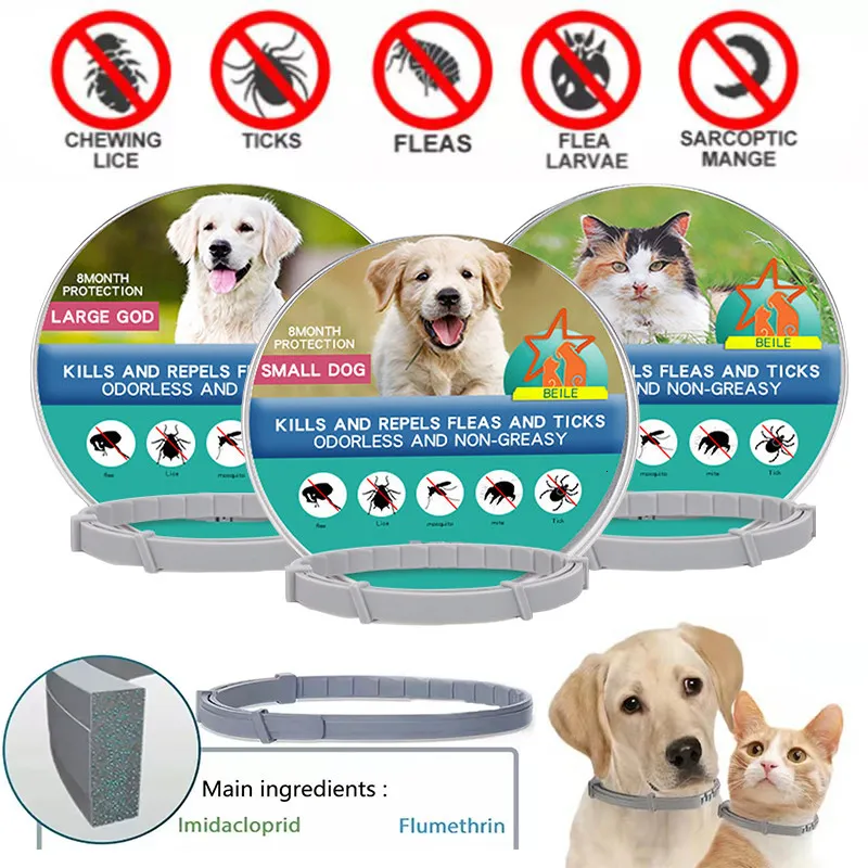 Vestuário para cães coleira antipulgas e carrapatos para gatos, proteção de 8 meses, coleiras retráteis para cachorros, gatos, cães grandes, acessórios 230807