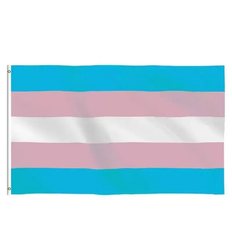 Drapeau Arc-en-Ciel LGBT GAY Pride Flag, 90x150cm Progress Rainbow Grand Flag Et 10 Pcs 14 * 21