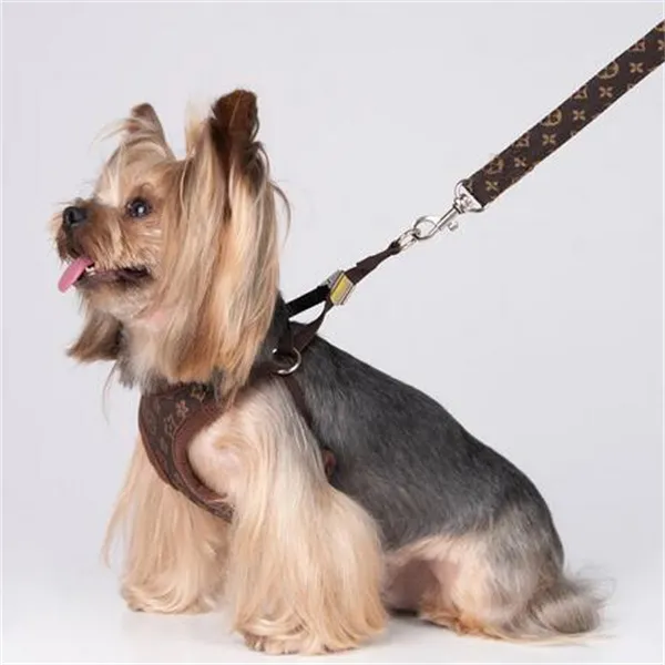 Sele kopplar set designer pet väst klassiker jacquard bokstäver mjuk luft mesh hund sele för små hundar katt tekopp valpar shih tzu khaki l gc2243